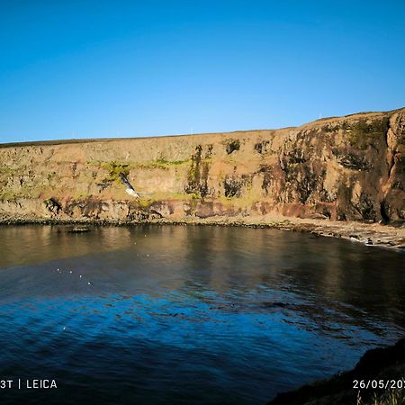 Happy-Cove Guesthouse - By The Sea Bakkafjorthur Esterno foto