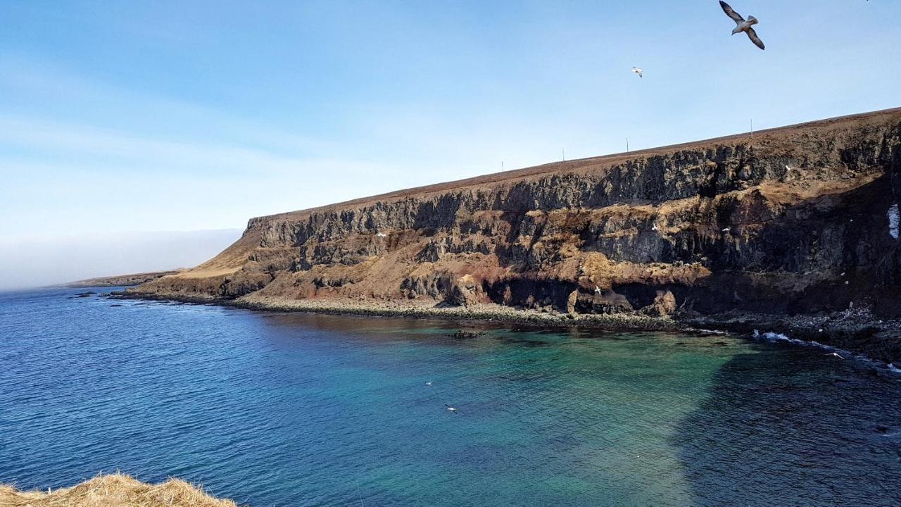 Happy-Cove Guesthouse - By The Sea Bakkafjorthur Esterno foto