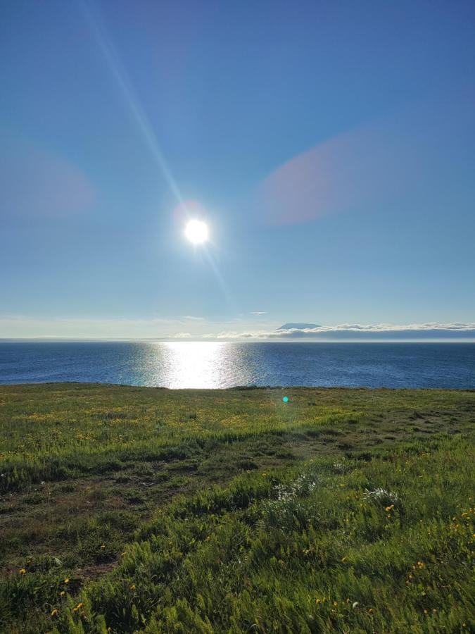 Happy-Cove Guesthouse - By The Sea Bakkafjorthur Esterno foto