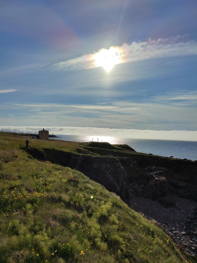 Happy-Cove Guesthouse - By The Sea Bakkafjorthur Esterno foto