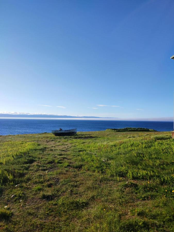 Happy-Cove Guesthouse - By The Sea Bakkafjorthur Esterno foto