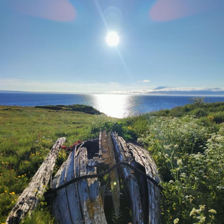 Happy-Cove Guesthouse - By The Sea Bakkafjorthur Esterno foto