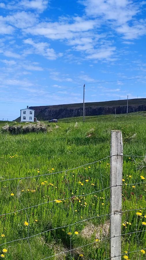 Happy-Cove Guesthouse - By The Sea Bakkafjorthur Esterno foto