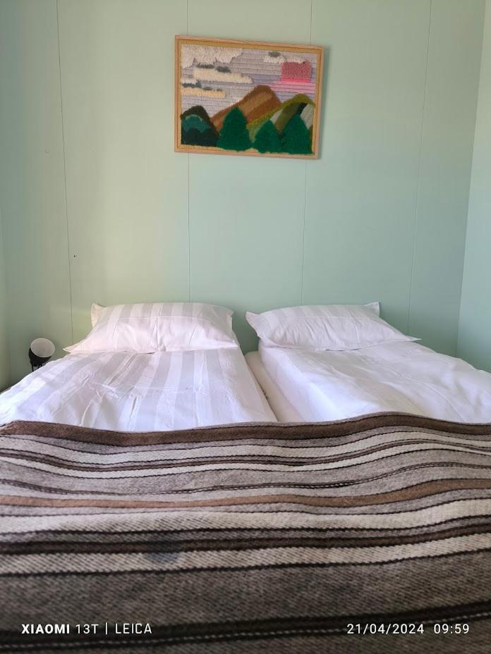 Happy-Cove Guesthouse - By The Sea Bakkafjorthur Esterno foto
