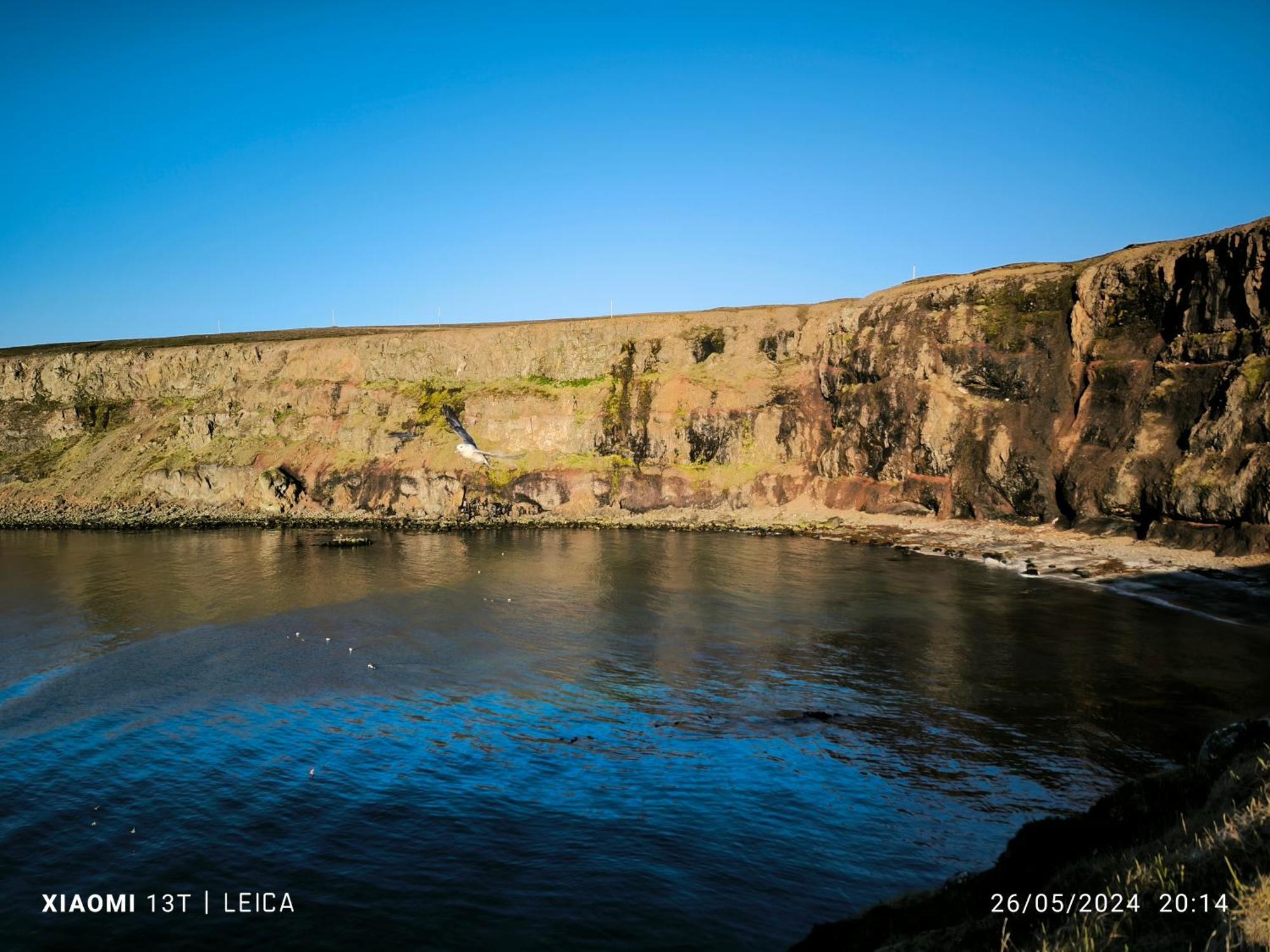 Happy-Cove Guesthouse - By The Sea Bakkafjorthur Esterno foto